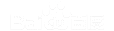 ÷��AI�Ż�